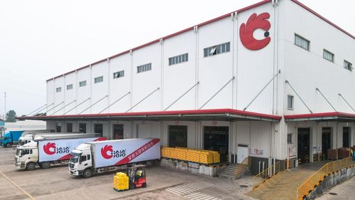 走進洽洽透明工廠,探訪一顆堅果蘊藏的新質生產力