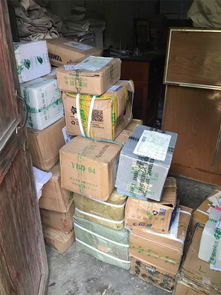 張金寶攜金財咨詢踐行社會責任，共筑鄉村教育未來——記“鄉村學校圖書室手拉手行動”